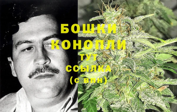 трава Алексин