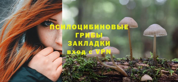 гидра Алзамай